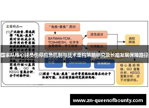 国家队核心球员伤停应急机制与战术重构策略研究及长期发展保障路径